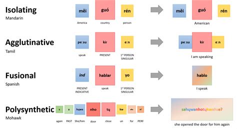 3.3 Morphology of Different Languages – Psychology of Language