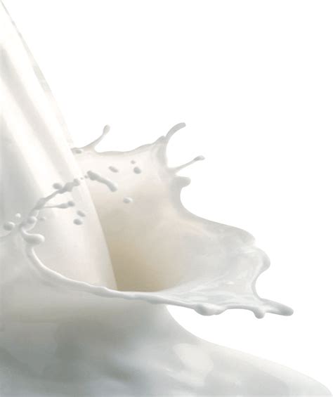 Milk splashes PNG