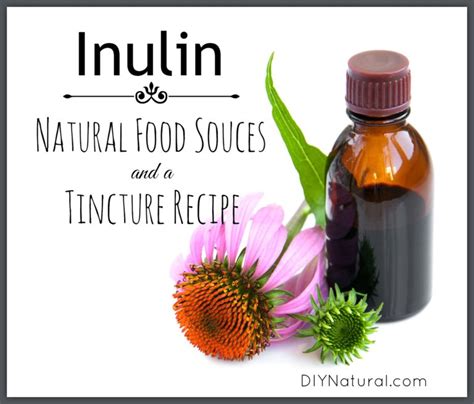 Inulin - Natural Food Sources and a Tincture Recipe