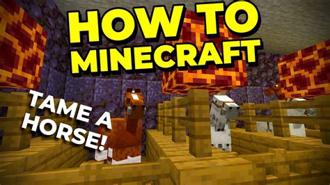 Tame the BEST Horse - How To Minecraft #36 - YouTube