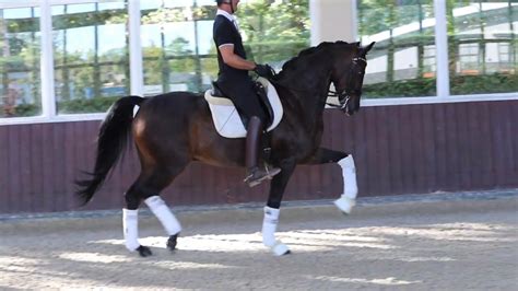 THE MOST BEAUTIFUL DRESSAGE MOVEMENT! - YouTube