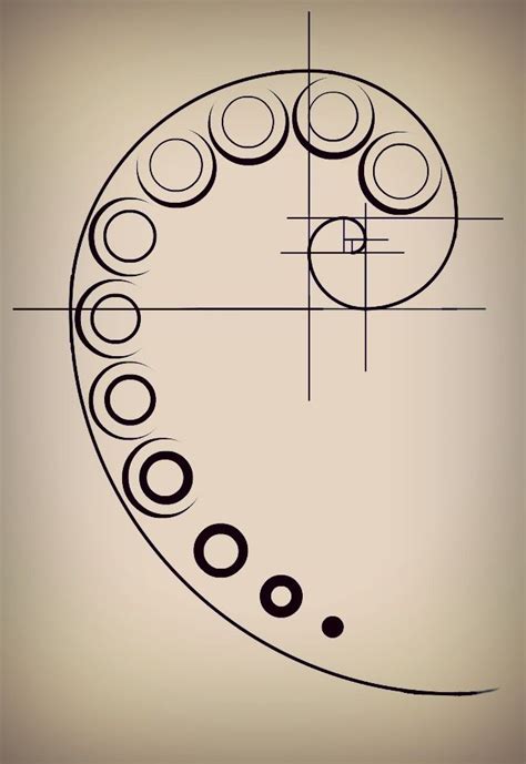 an image of a drawing with circles on it