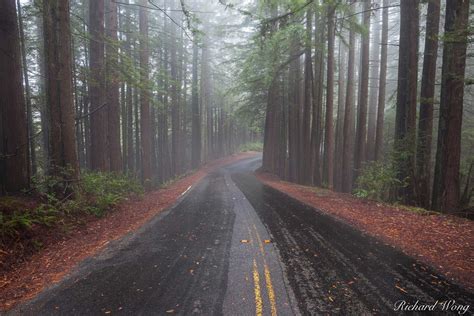 Redwood Road | Marin County, California | Richard Wong Photography