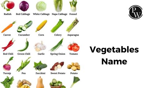 40 Vegetables Names In English And Types, 40% OFF