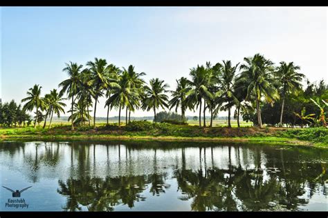 Discovering self at Chilika lake, Konark - Tripoto