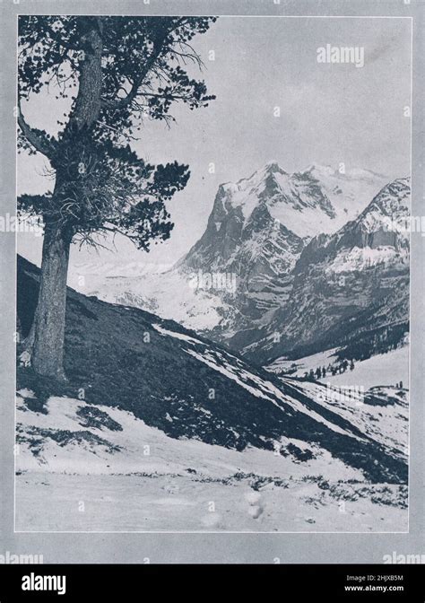 The Wetterhorn. Switzerland (1925 Stock Photo - Alamy