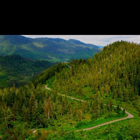 Ketchikan Alaska hiking - Dude Mountain trail | Ketchikan alaska ...