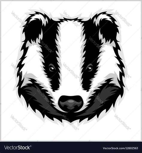 Badger Head black and white Royalty Free Vector Image