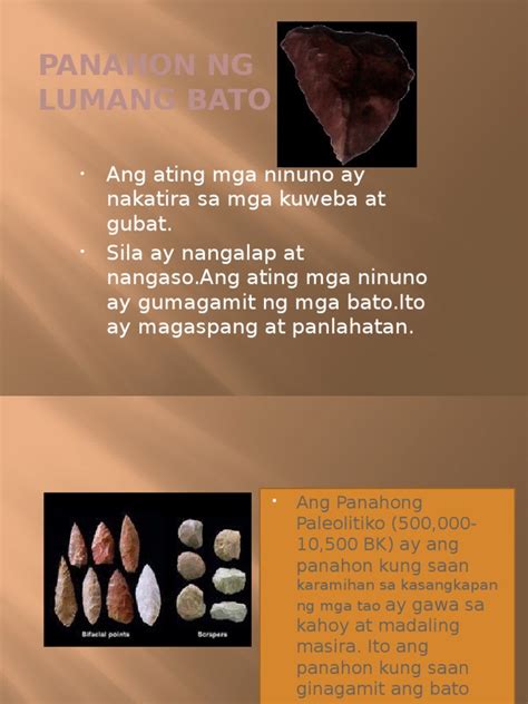 Panahon NG Lumang Bato | PDF