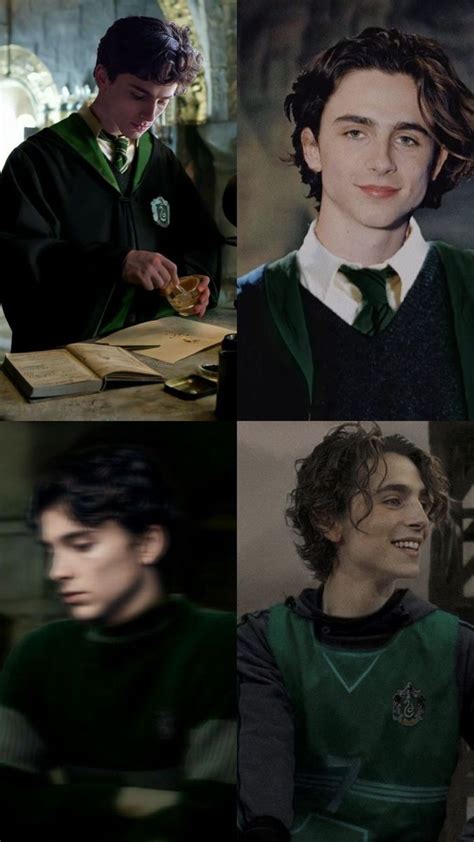 Timothee Chalamet en Slytherin | Slytherin harry potter, Harry potter ...