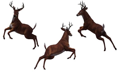 Deer Free Download Png Transparent HQ PNG Download | FreePNGImg