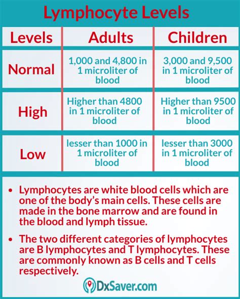 What is Lymph Blood Test? Know more about High Lymphocytes levels ...