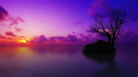 Purple HD Wallpapers (68+ images)