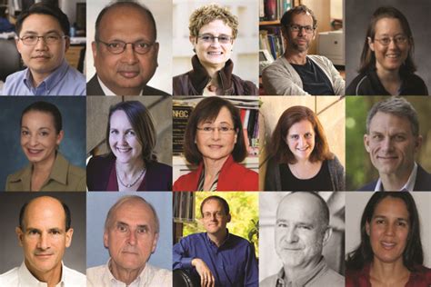 Newest American Academy of Arts and Sciences members | Stanford News