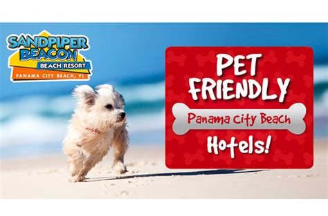 Pet Friendly - Sandpiper Beacon Beach Resort | Panama City Beach Hotels ...