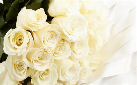 White Rose Bouquet Wallpapers