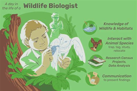 Wildlife Biologist Job Description: Salary, Skills, & More