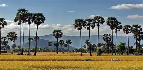 Takeo Province, Cambodia - Indochina Travel