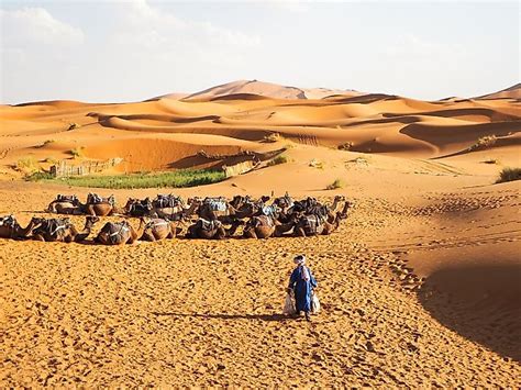 Tuareg Warriors Sahara Desert