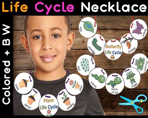 Life Cycle of a Butterfly, Frog & Plant Necklace Craft. Printable, Life Cycle Sequencing ...