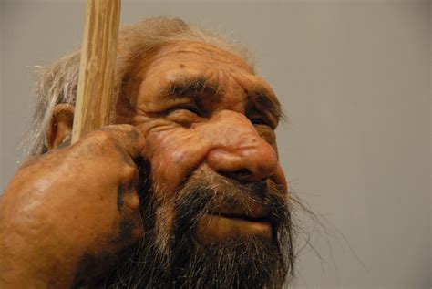 'Distinct Species' Neanderthals Killed Off by Humans, Not Cold