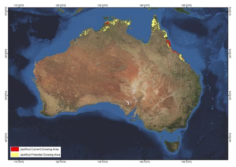 Jackfruit | AgriFutures Australia