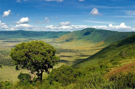 Ngorongoro Crater Safari Holiday | Tanzania | Safari Guide Africa