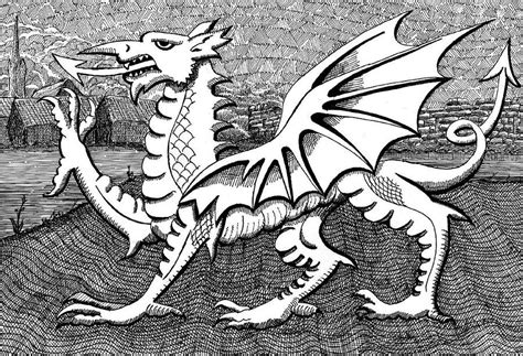 Welsh Dragon Drawing by Dave Edwards