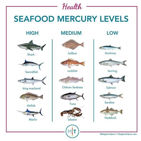 Guide To Eating Fish: Choosing Healthy and Sustainable Options | Fish consumption, Fish diet ...