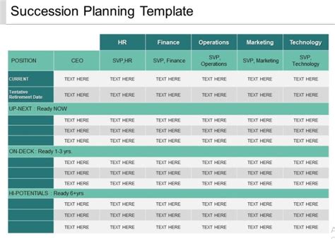 Succession Planning Chart Sample