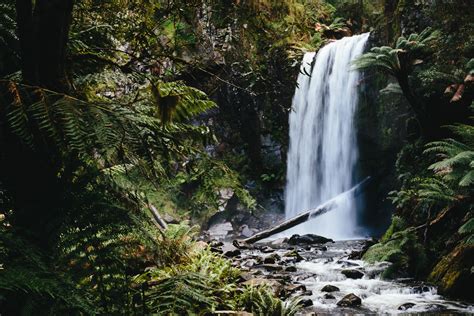 Great Otway National Park, Australia | Jelly Journeys