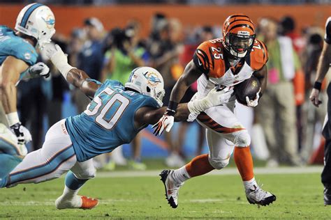 Cincinnati Bengals vs. Miami Dolphins: NFL Week 16 - Cincy Jungle