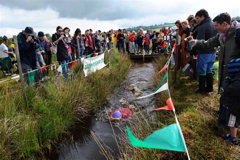 Ginger snaps: Bog Snorkelling World Championships