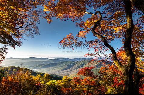 Beautiful Autumn Scenery Picture And HD Photos | Free Download On Lovepik