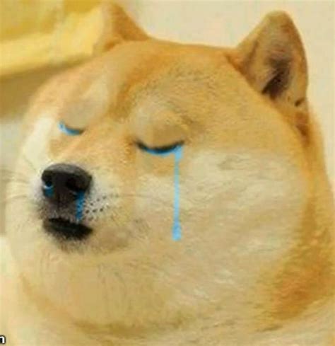 Doge Crying - Meme Template - MeMesPortal