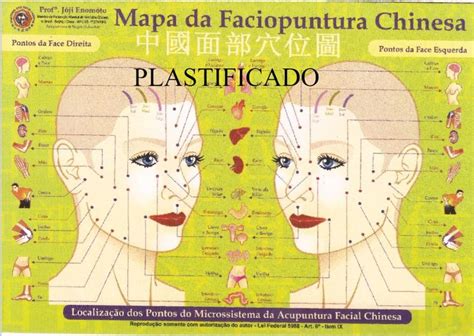 Mapa Acupuntura Facial Facioacupuntura Chinesa Prof Jóji Mtc - Prof. Franco Joji Enomoto - Mapas ...