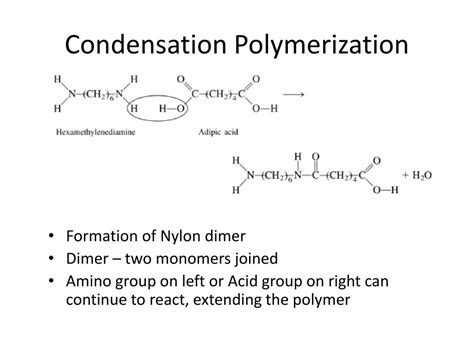 PPT - Polymerization Reactions PowerPoint Presentation, free download - ID:1878560