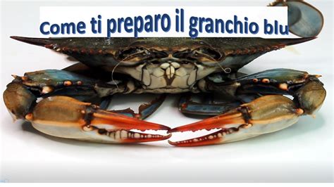 Le migliori ricette con granchio blu: scopri la ricetta per deliziosi piatti di mare ...