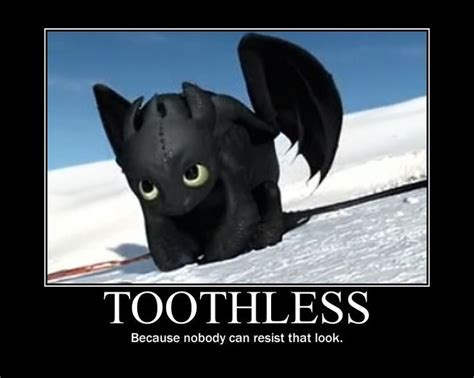 toothless memes | How train your dragon, How to train dragon, How to train your dragon