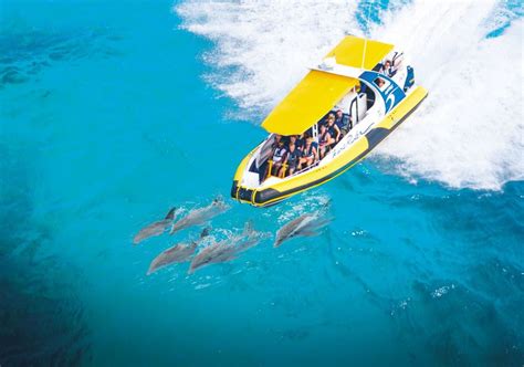 Whale Watching in Port Macquarie – Tours, Cruises, Vantage Points and Lookouts
