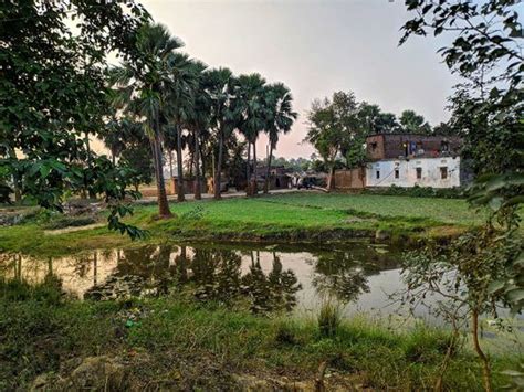 Bihar offers tourists night stay in villages | India – Gulf News