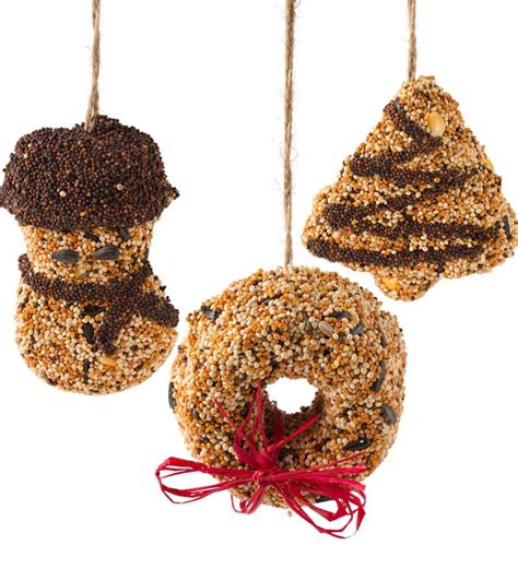 Hanging Holiday Bird Seed Cakes, Set of 3 | Wind and Weather