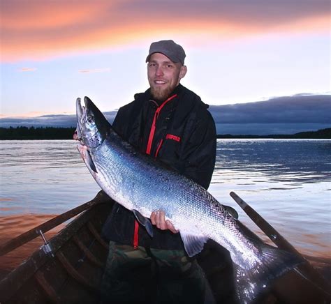 Salmon fishing by boat in the Tornio River in Lapland with the ...