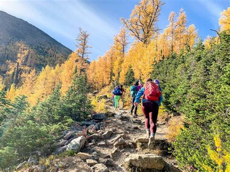 Saddleback Mountain Hike in Banff National Park - Travel Banff Canada