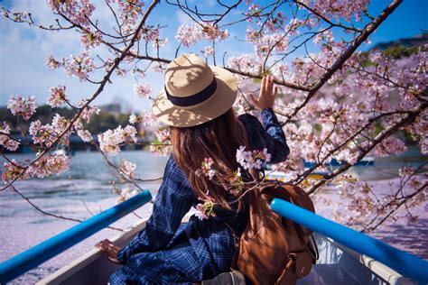 17 Best Places To See Cherry Blossoms in Tokyo