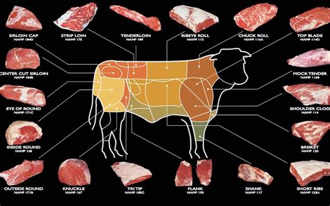 Cuts of Beef: A Comprehensive Guide to Cuts of Beef in Colombia