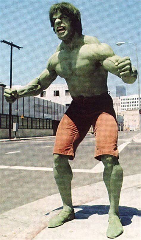 Incredible Hulk - Lou Ferrigno - Bill Bixby - TV series - Profile - Writeups.org