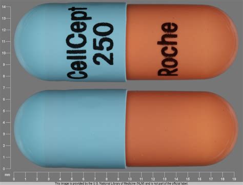 Pill Identifier Cellcept - NDC 0004-0259