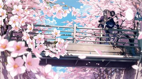 Your Lie in April Cherry Blossoms Wallpapers - Top Free Your Lie in ...