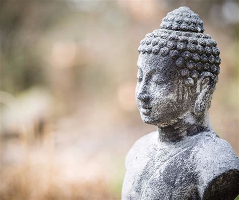 16 Buddha teachings that will change your life